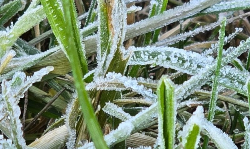 <p>Suhu Dieng Capai Minus 2 Derajat Celsius</p>