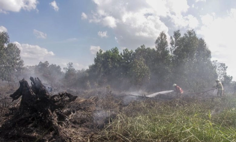 <p>Menteri LH Soal Pembakaran Lahan: Berulang Dan Terorganisasi</p>
