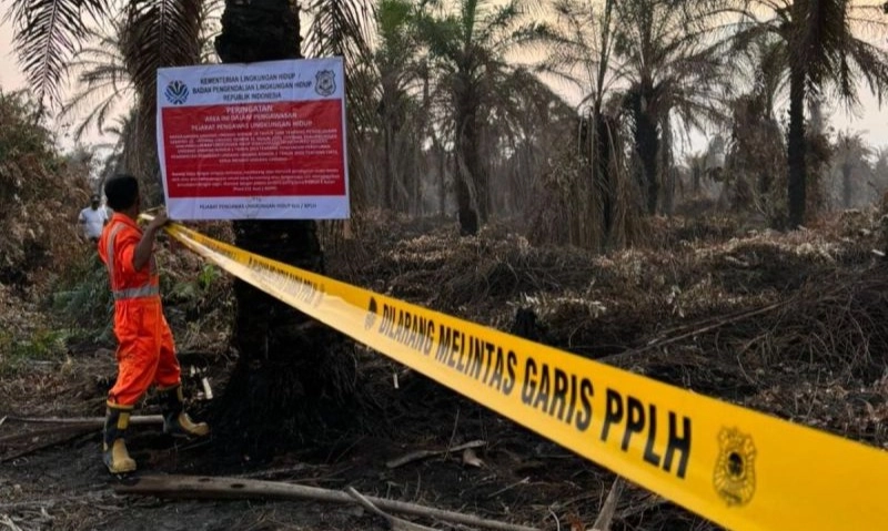 <p>KLH Segel Perusahaan Sawit Terkait Karhutla Riau</p>