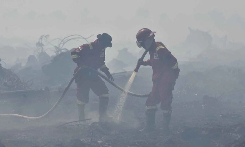 <p>Polda Jambi Selidiki Penyebab Kebakaran Lahan Gambut Jaya</p>