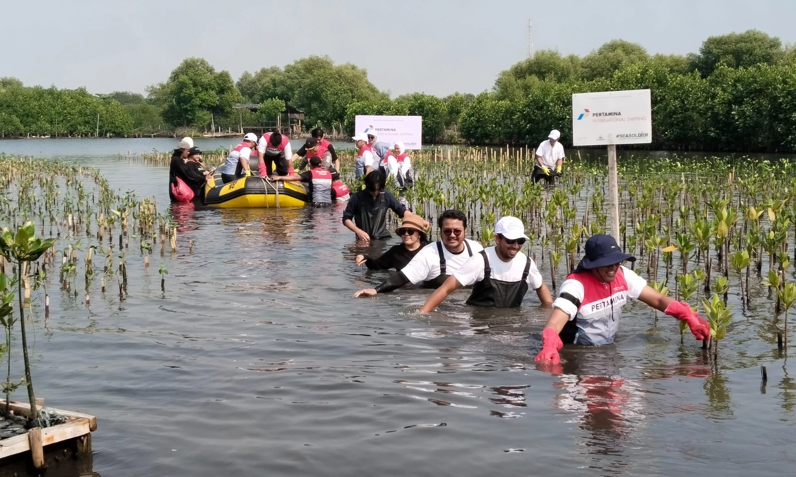 <p id="isPasted">Menghitung Pengurangan Emisi Karbon PIS Dari Puluhan Ribu Mangrove Di Teluk Naga</p>
