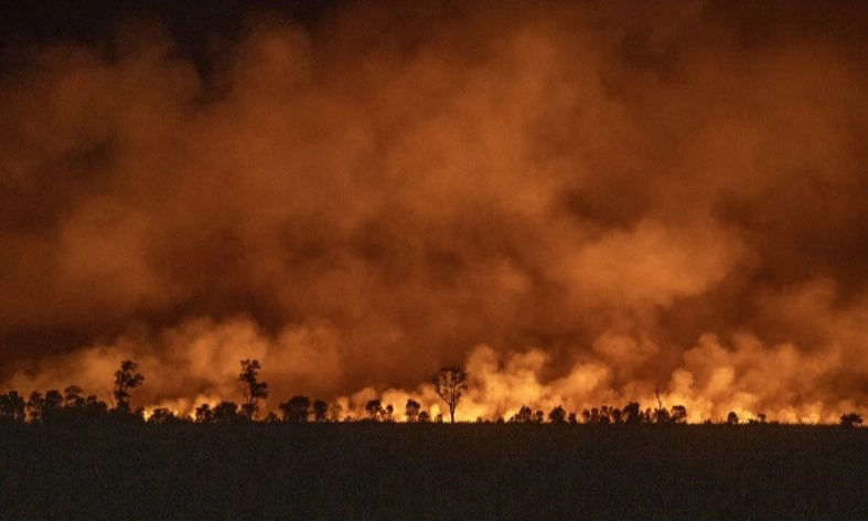 <p>Sumsel Diminta Antisipasi Karhutla Jelang Puncak Kemarau</p>