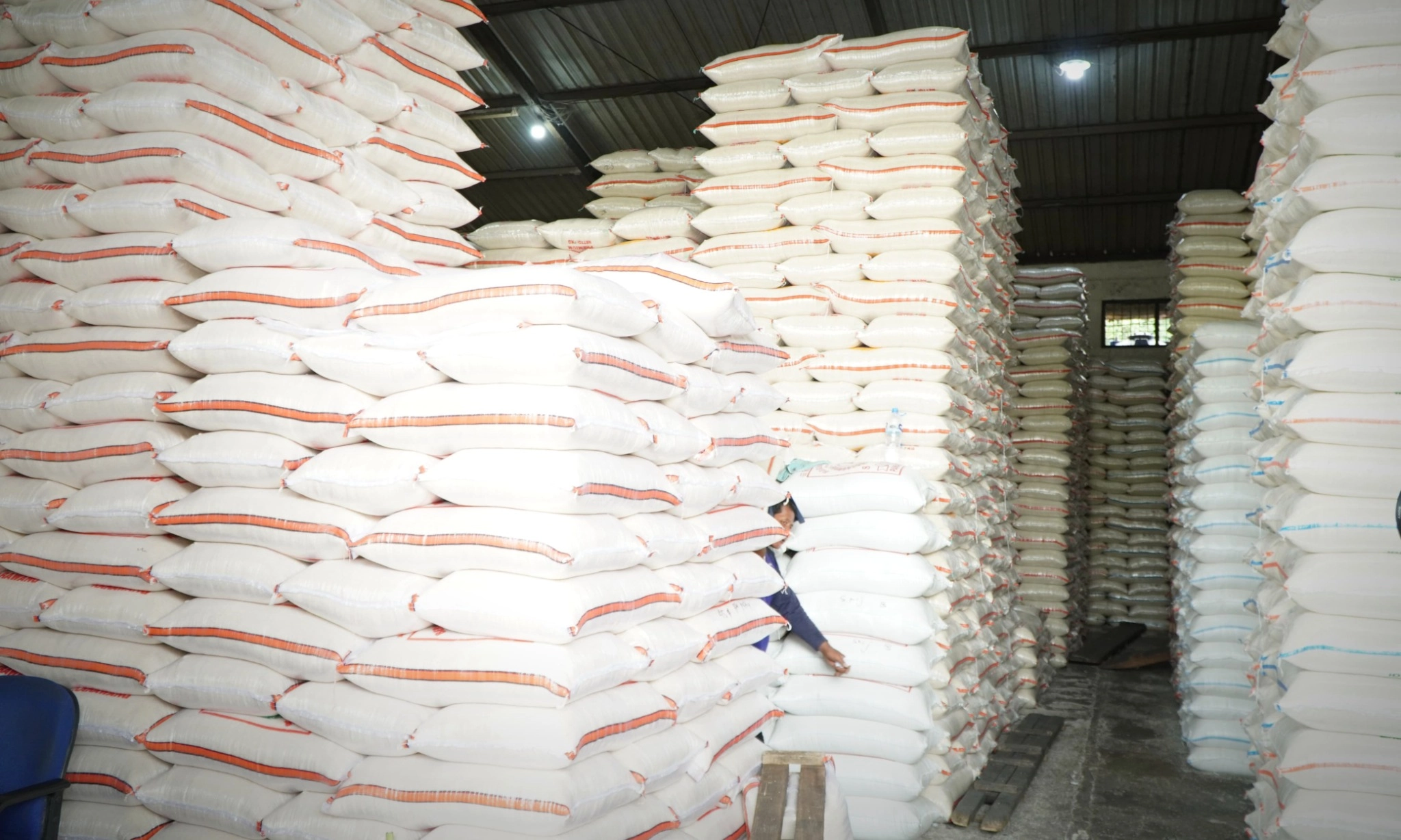 <p>Pedagang: Penghapusan Beras Medium dan Premium Tak Solutif</p>