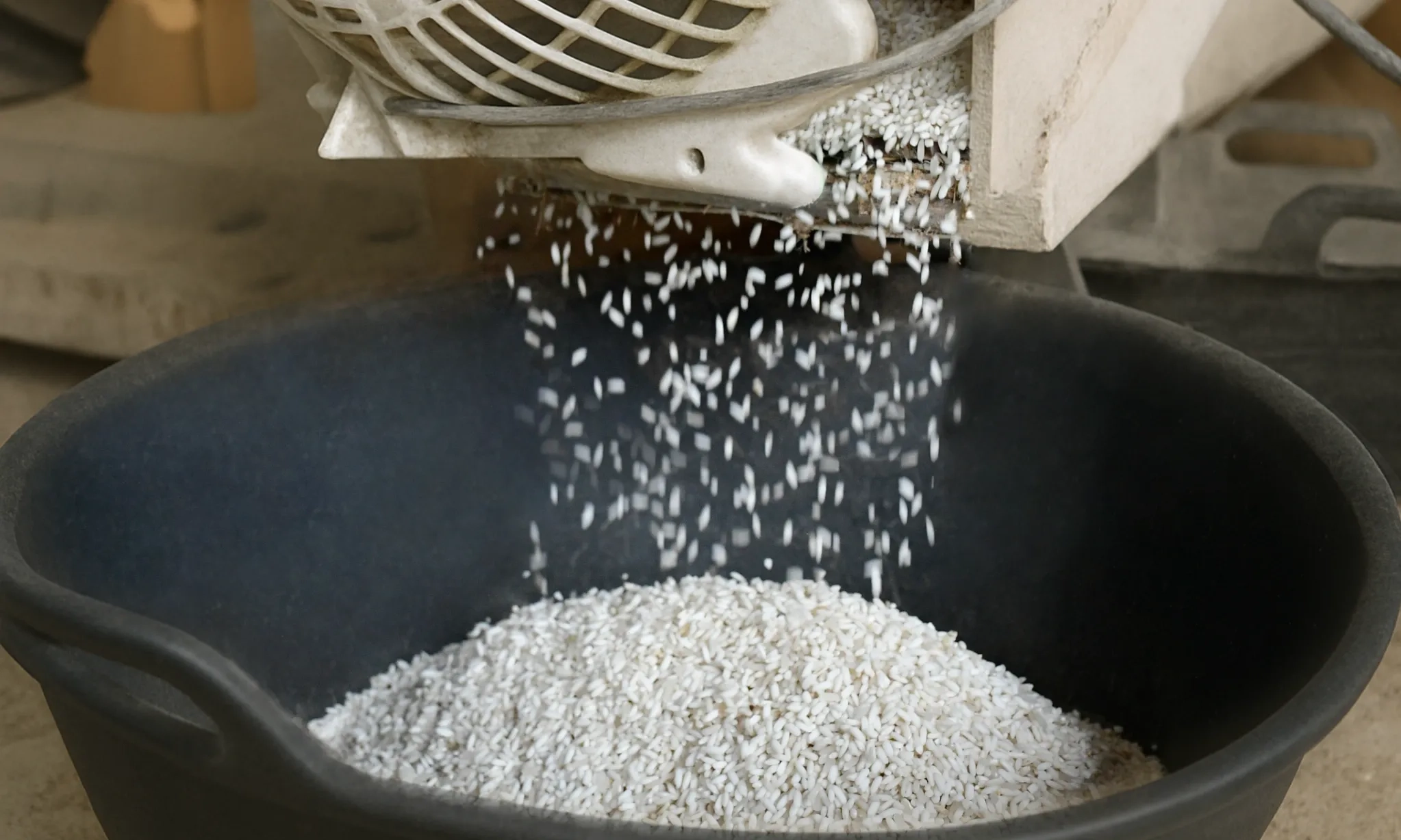 <p id="isPasted">Timbang-Timbang Urgensi Menghapus Jenis Beras Premium Dan Medium</p>