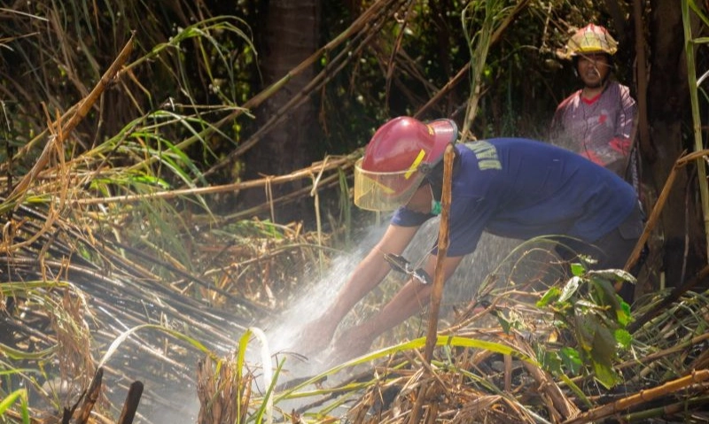 <p>Karhutla Limapuluh Kota Diduga Disengaja</p>