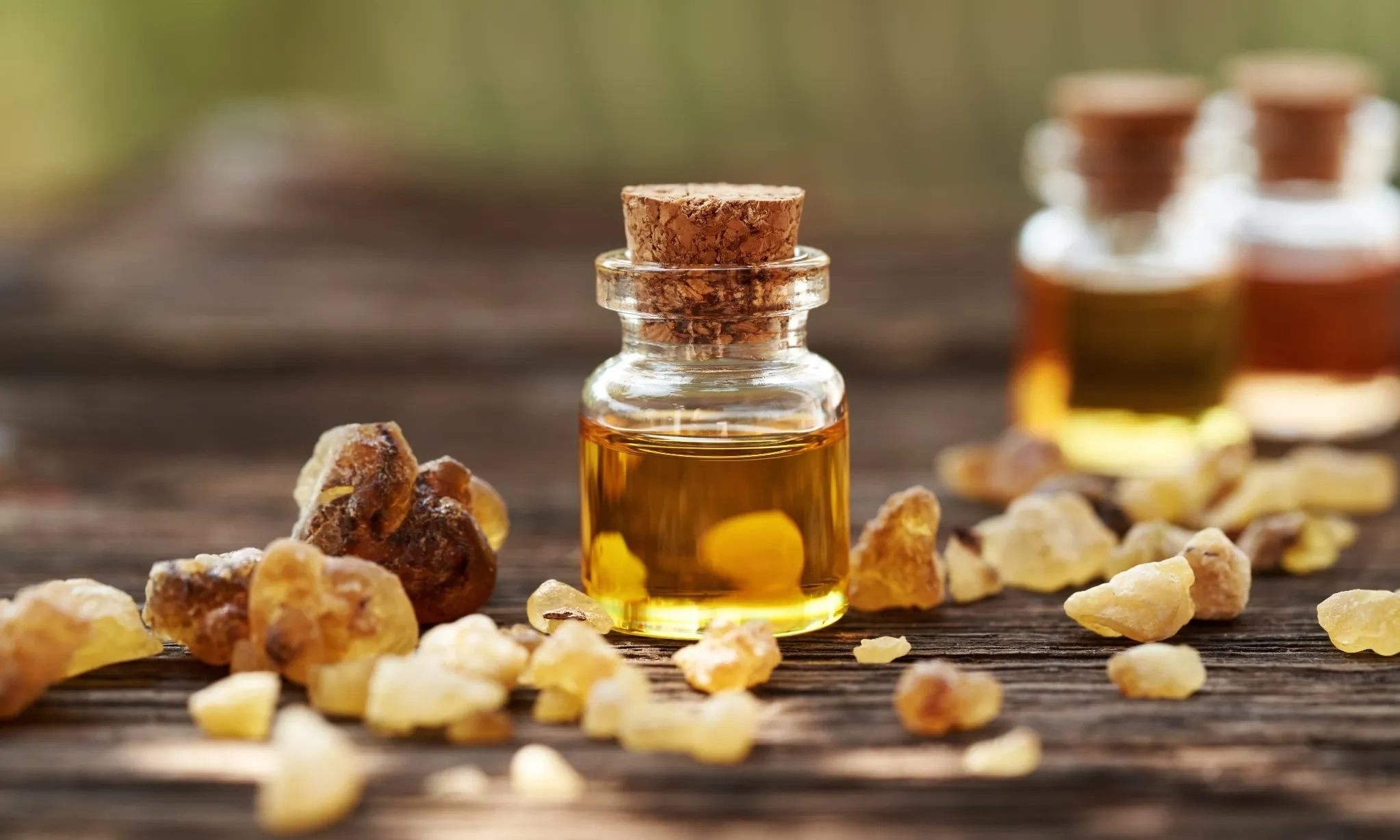 <p>Potensi Besar Kemenyan Indonesia Jadi Parfum Tropis Premium Dunia</p>