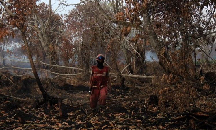 <p>Operasi Modifikasi Cuaca Dijalankan Di Kalbar</p>