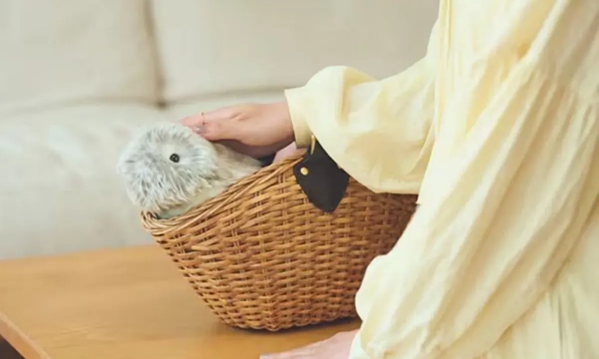 <p id="isPasted">Mengenal Moflin, Robot Hewan Berbasis AI Yang Populer Di Jepang</p>