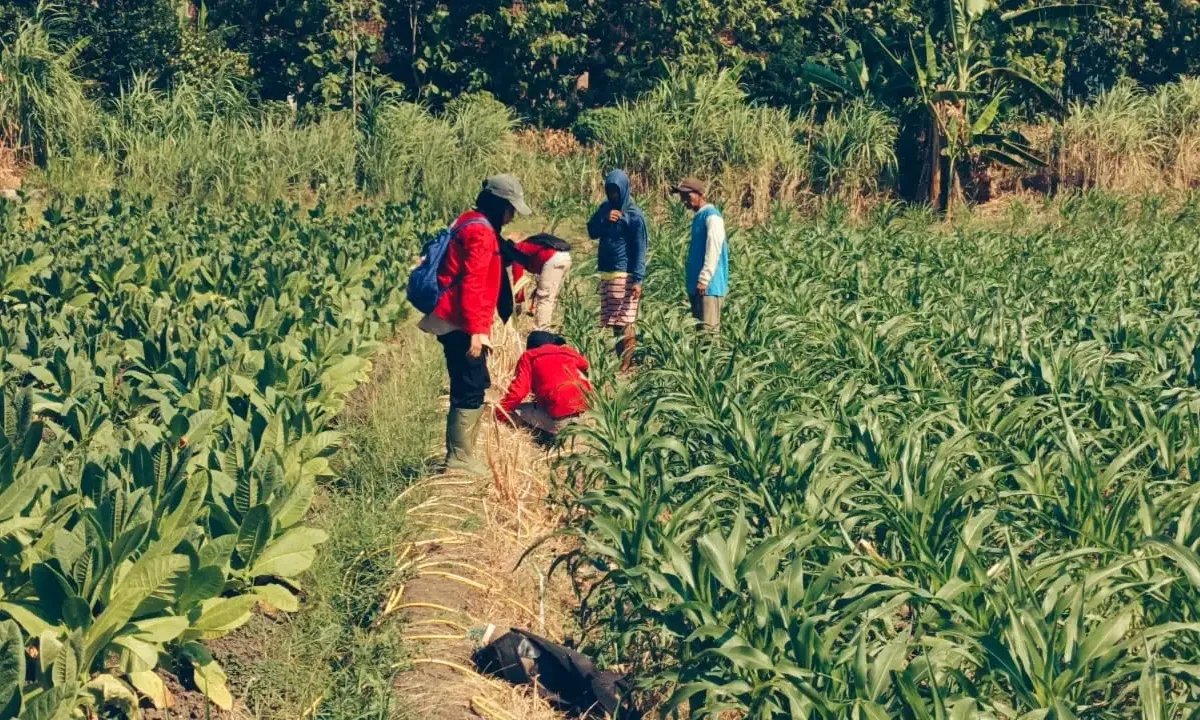 <p id="isPasted">BRIN Temukan Potensi Sesar Aktif Di Semarang, Seberapa Besar Ancamannya?</p>