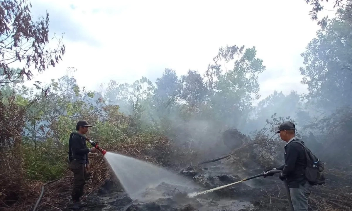 <p>BNPB Sebut Karhutla Kalteng Sulit Dipadamkan</p>