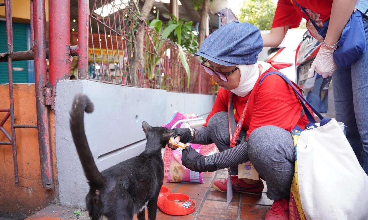 <p id="isPasted">Street Feeding, Wujud Kepedulian Untuk Kucing Jalanan</p>