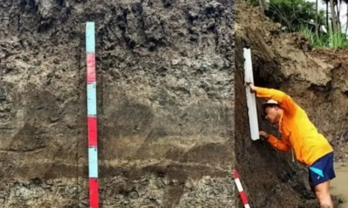 <p>Mikrofauna Foraminifera Purba Penanda Tsunami Besar Masa Lalu Di Cilacap<br id="isPasted"><br></p>