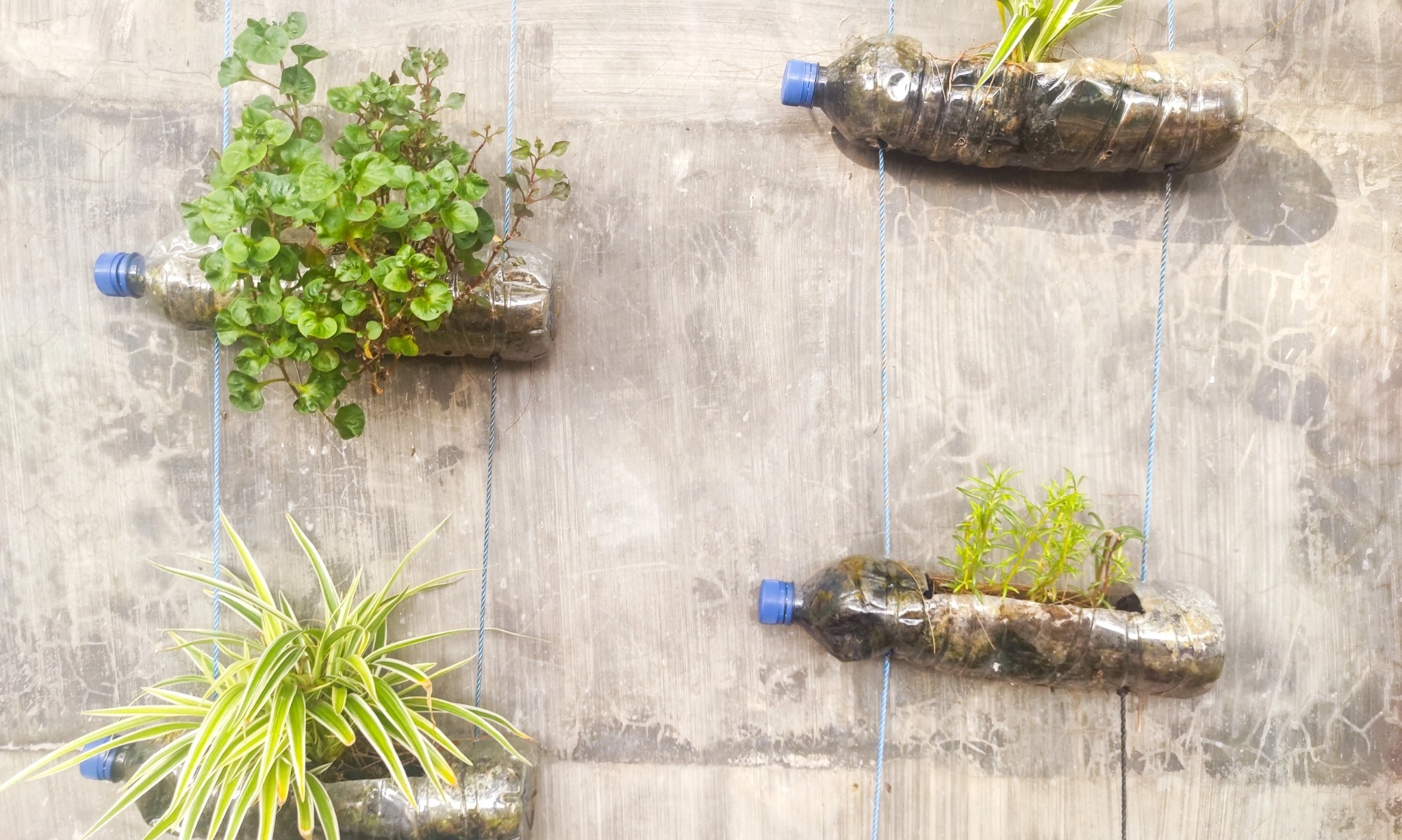 <p>Mengenal<em>&nbsp;Upcycling</em> : Ubah Sampah Jadi Karya Bernilai Tanpa Ribet!</p>