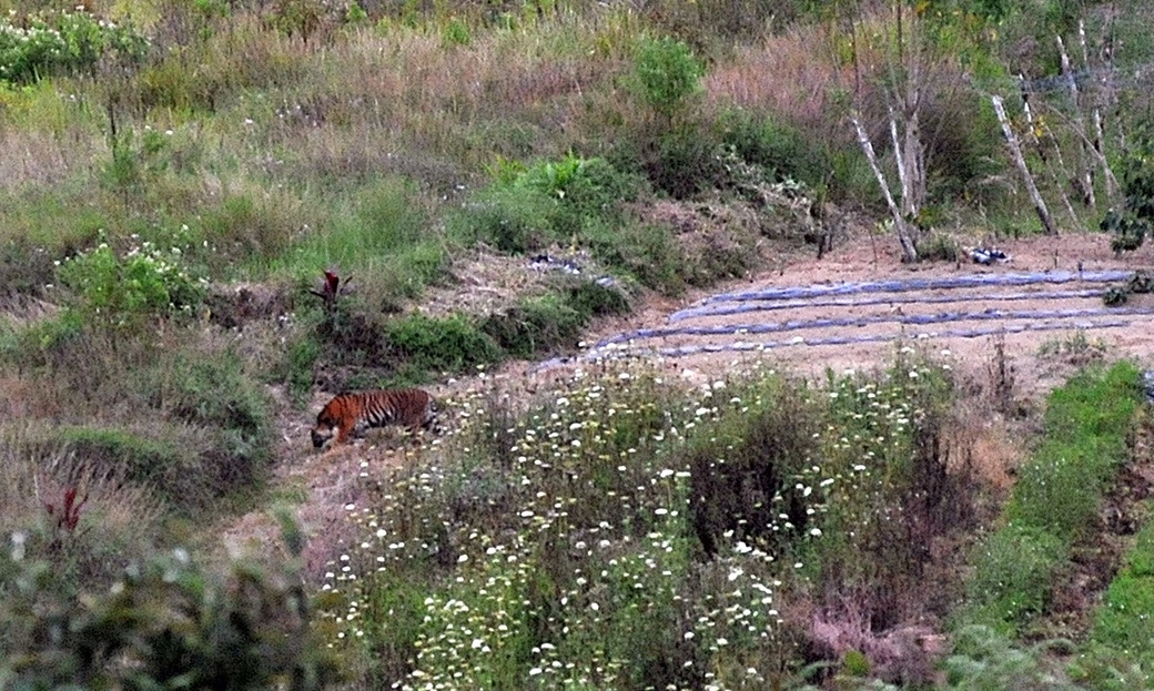 <p>Warga Di Kawasan TNBBS Diingatkan Tak Beraktivitas Di Hutan</p>