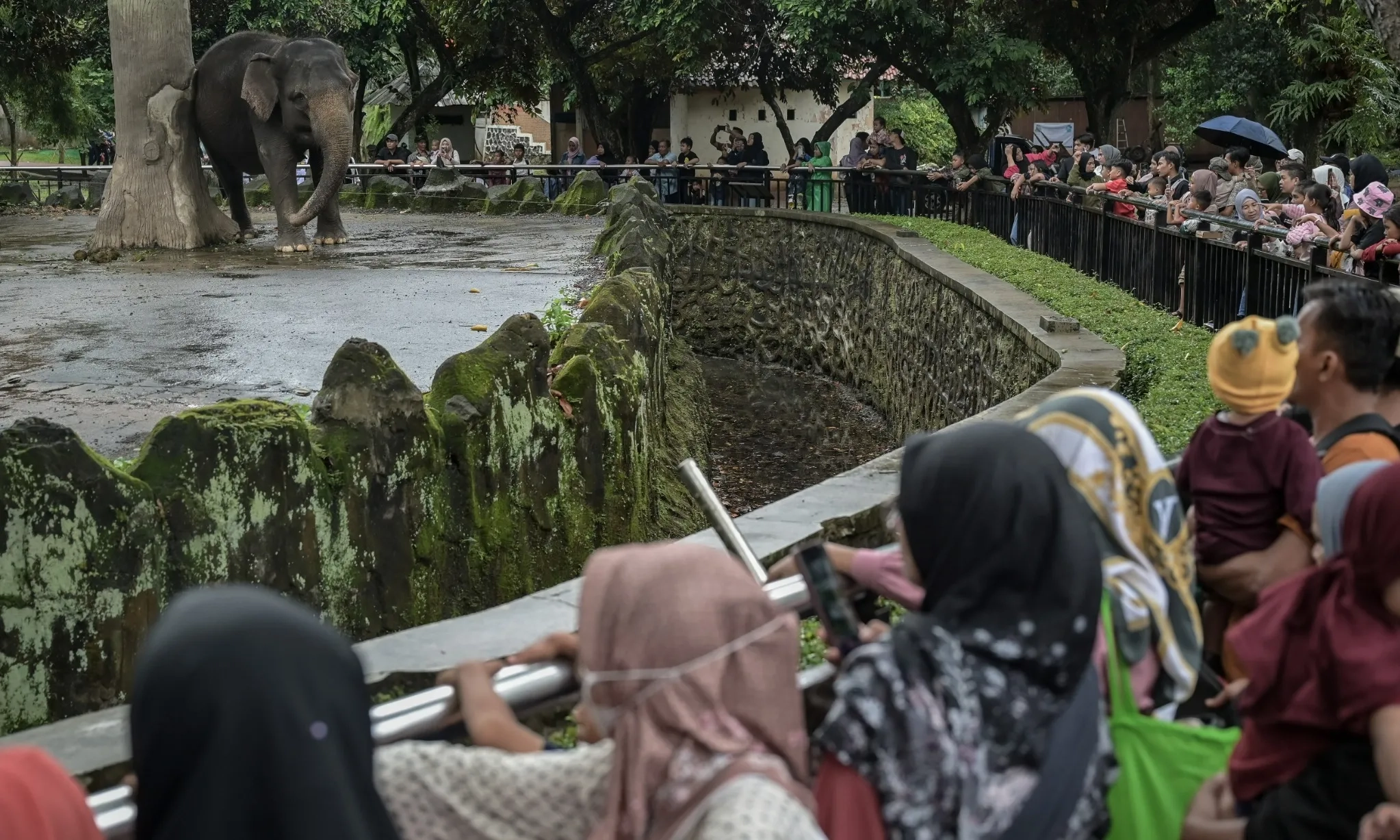 <p>Ragunan Bakal Buka Sampai Malam</p>