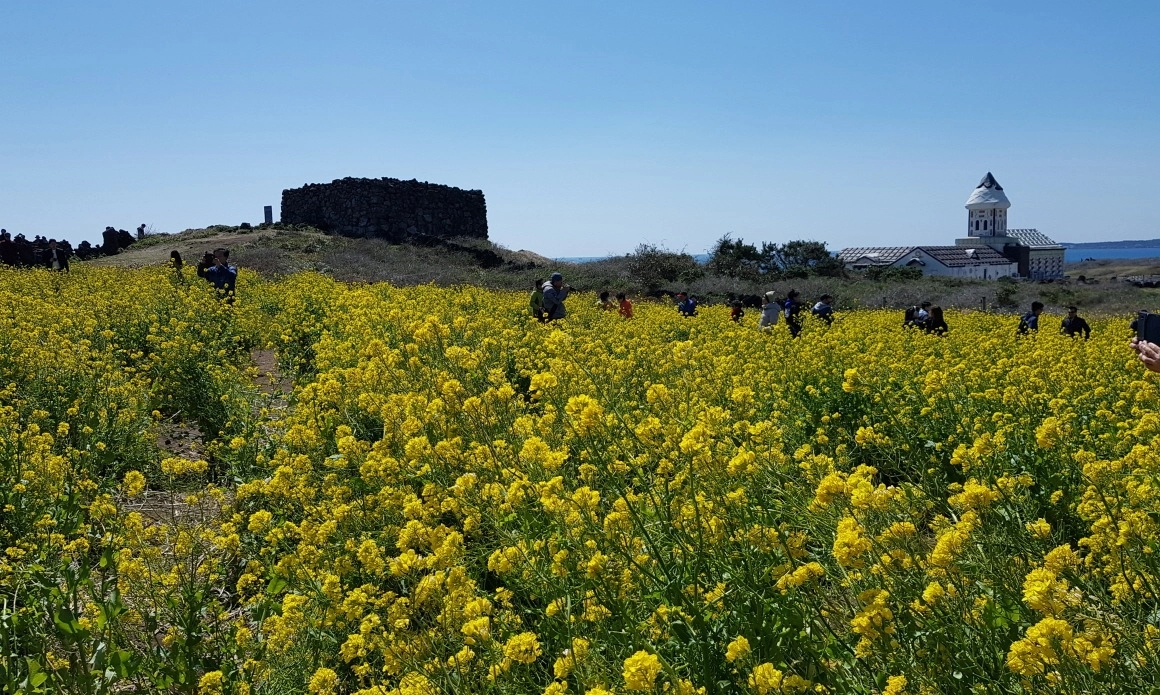 <p>Warga Pulau Jeju Resah Karena Perilaku Turis Tak Tertib</p>