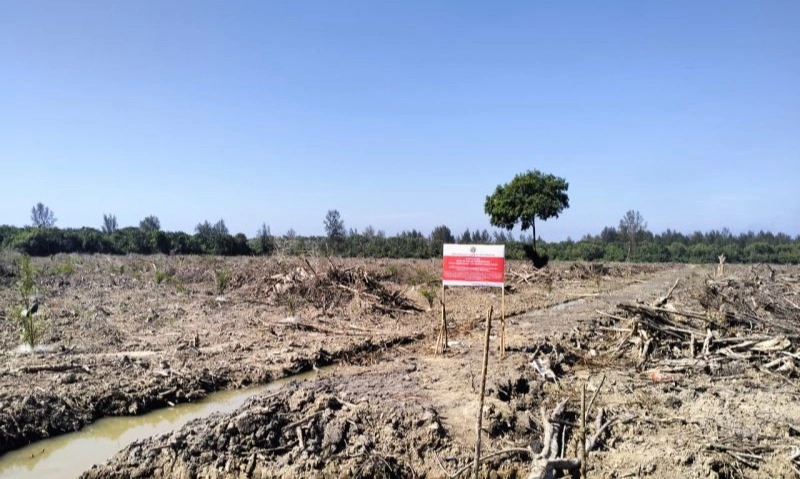 <p>Kemenhut Hentikan Perambahan Mangrove Untuk Sawit</p>