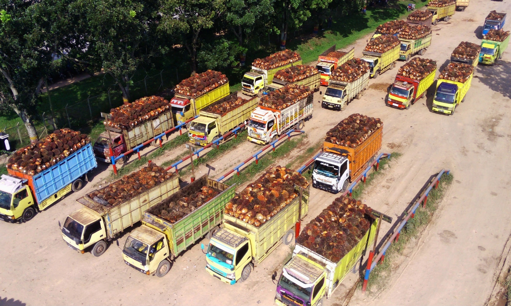 <p id="isPasted">GAPKI Catat Kenaikan Produksi CPO Dan PKO Juni 2025 Capai 6,5%</p>