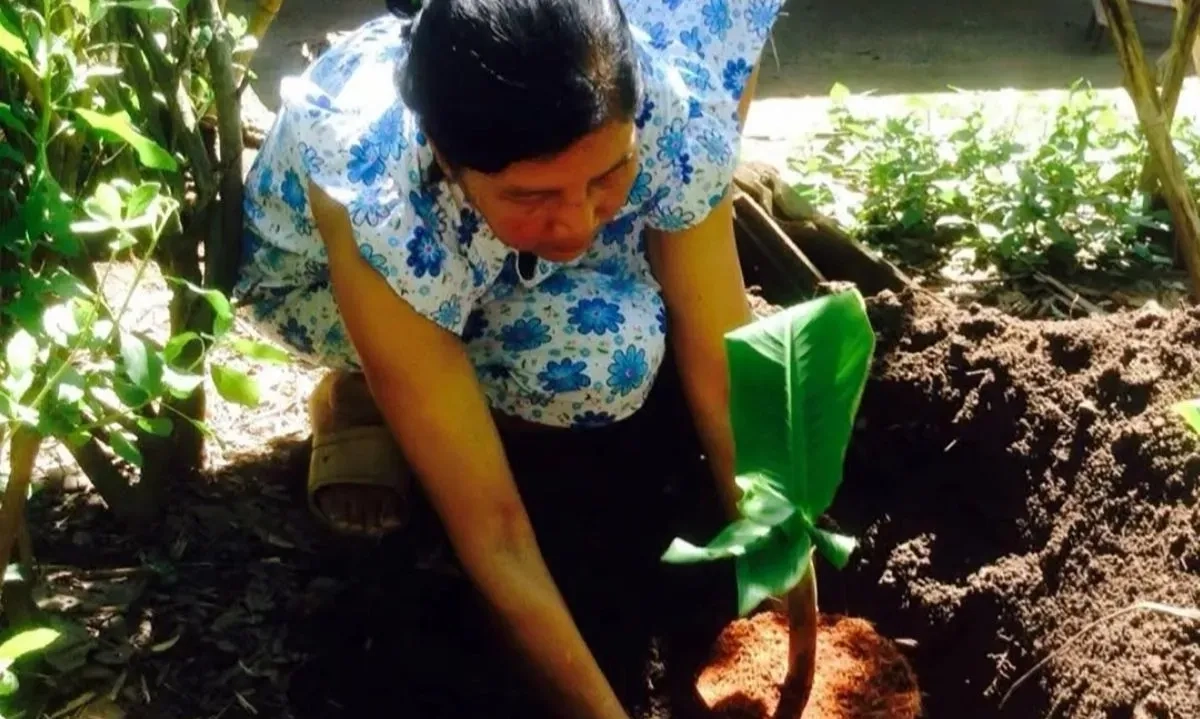 <p id="isPasted">Tak Cuma Anak-Anak, Cacingan Juga Mengintai Orang Dewasa</p>