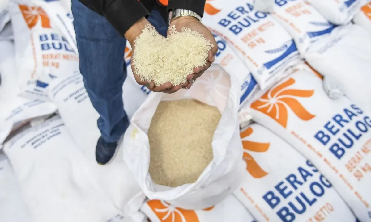 <p>Pakar: Beras Turun Mutu Capai 100 Ribu Ton Berpotensi Rugikan RI Rp1,2 T</p>