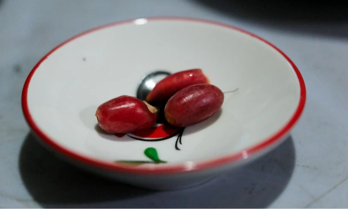 <p>Mencicip Sensasi Buah Ajaib Di Desa Wisata Tamanmartani</p>