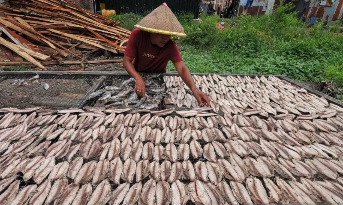 <p>Pemerintah Sudah Salurkan KUR Rp156,84 T Per Juli</p>