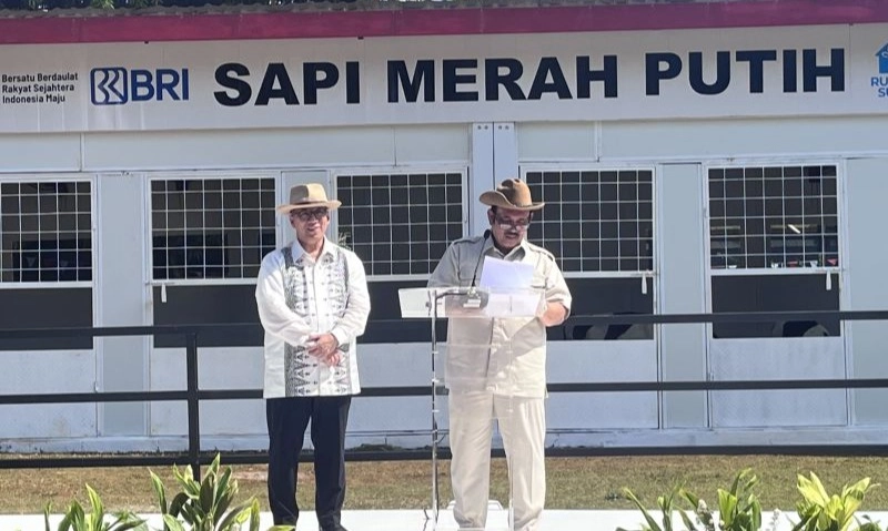 <p>Bappenas Luncurkan Sapi Merah Putih, Revolusi Genetik Sapi Perah RI</p>