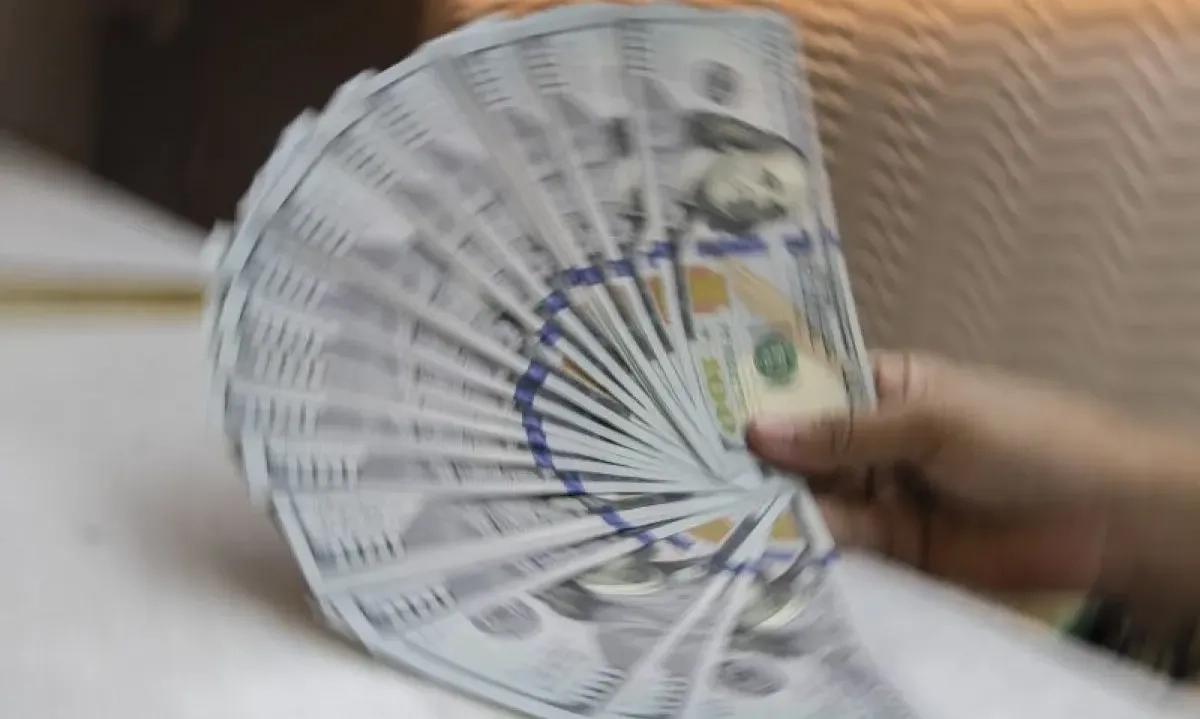 <p dir="auto" id="isPasted">Minus, Asing Lepas Instrumen Investasi RI Rp250 Miliar Pekan Ini</p>