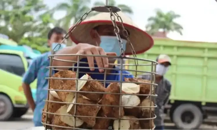 <p id="isPasted">Tak Kunjung Selesai, Singkong Indonesia Masih Kalah Dari Impor</p>
