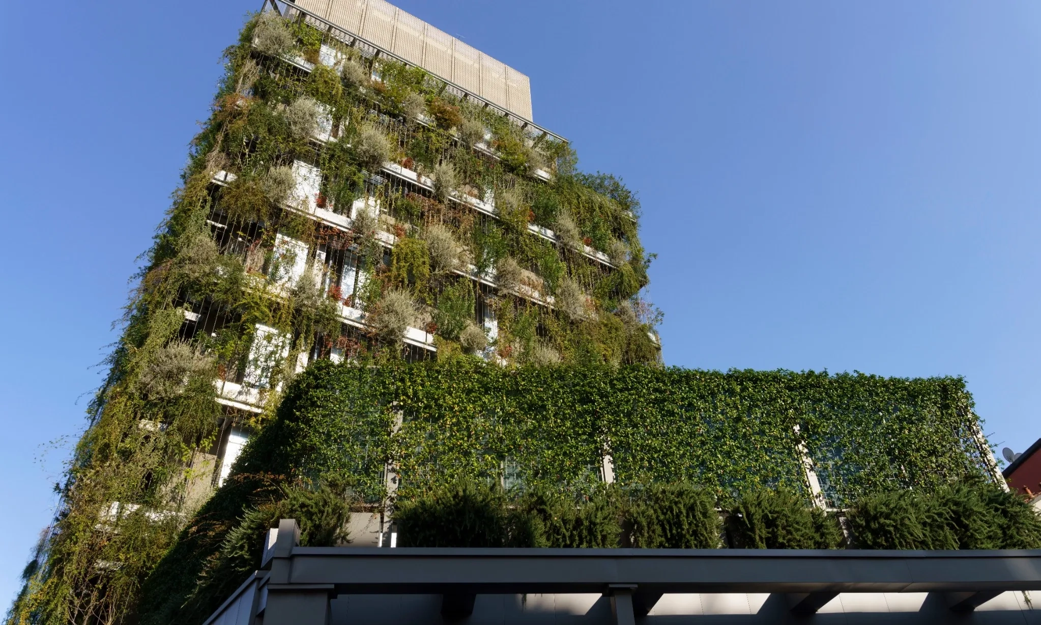 <p>OJK: Kredit Berkelanjutan Bank 2024 Tembus Rp2.075 T</p>