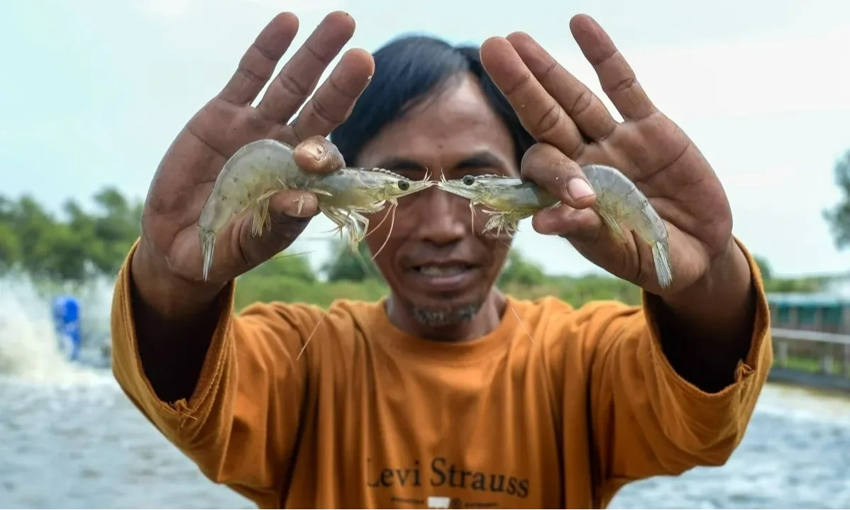 <p>Disegel, Pabrik Diduga Penyebab Radioaktif Cemari Udang</p>