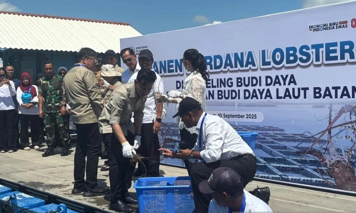 <p>Gibran Dorong Perpres Anti-Penyelundupan Benih Lobster Segera Terbit&nbsp;</p>
