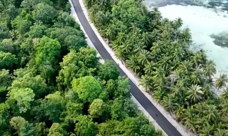 <p id="isPasted">Wamen PU: Pagu Inpres Jalan Daerah Dialokasikan Rp9 Triliun</p>