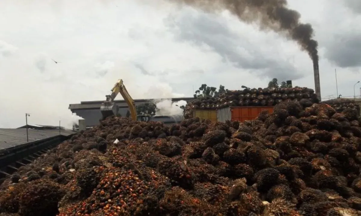 <p id="isPasted">Kemenperin Dorong Limbah Sawit Jadi Energi Berkelanjutan</p>