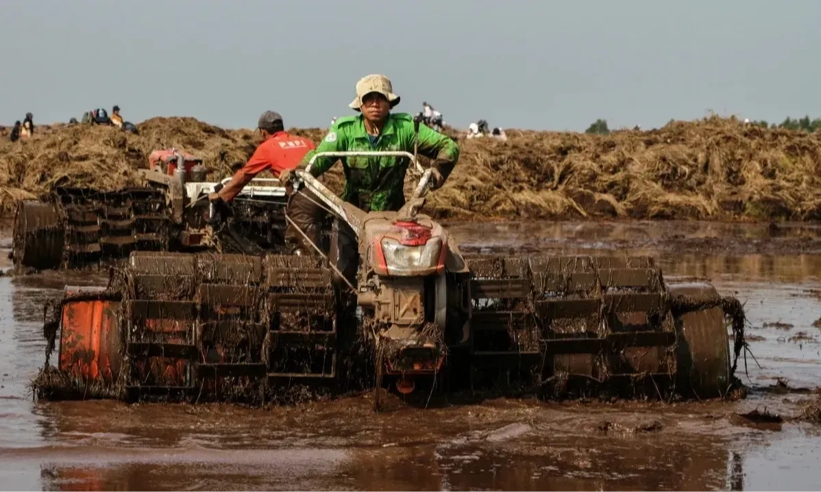 <p id="isPasted">Petani Milenial Tak Ada Kabar, KRKP Evaluasi Dua Hal Ini</p>