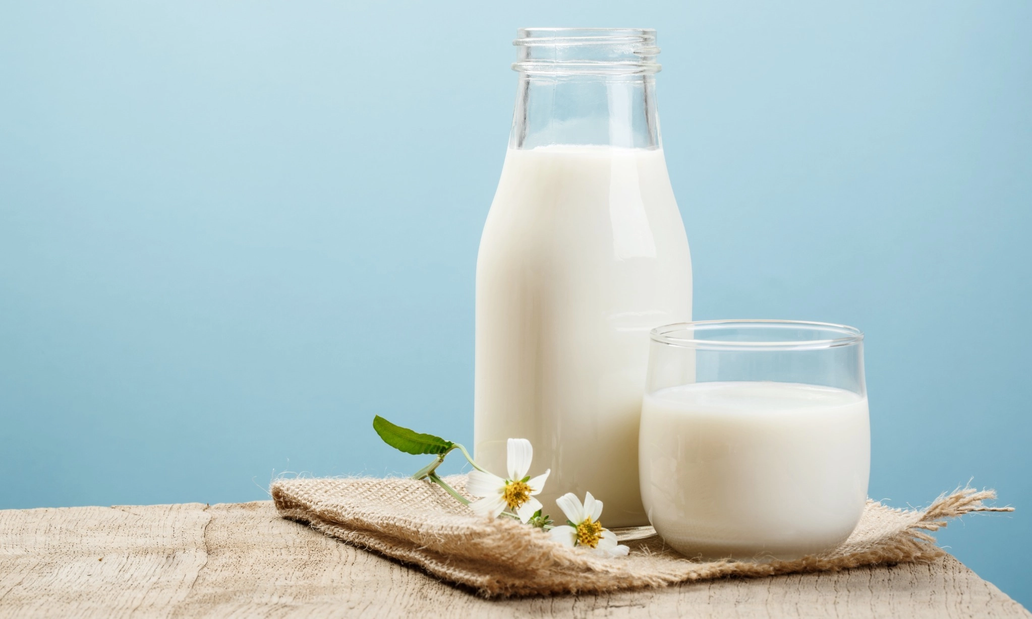 <p>Akademisi Untad Buat Olahan Susu Berbahan Jagung</p>