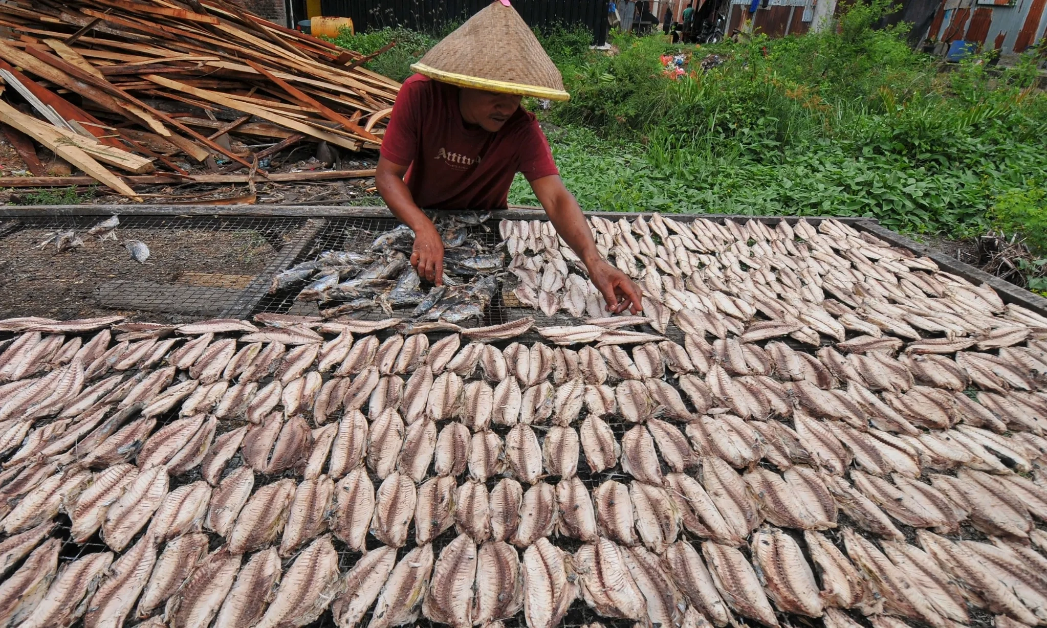 <p id="isPasted">BRI Catat Penyaluran KUR hingga Agustus 2025 Capai 65,31%</p>