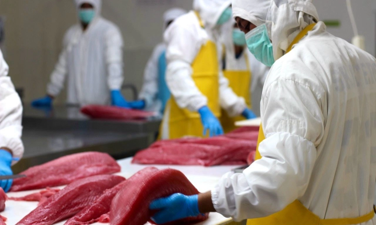 <p>Ekspor Ikan RI ke Taiwan Makin Gonjreng, KKP Tambah 26 UPI</p>