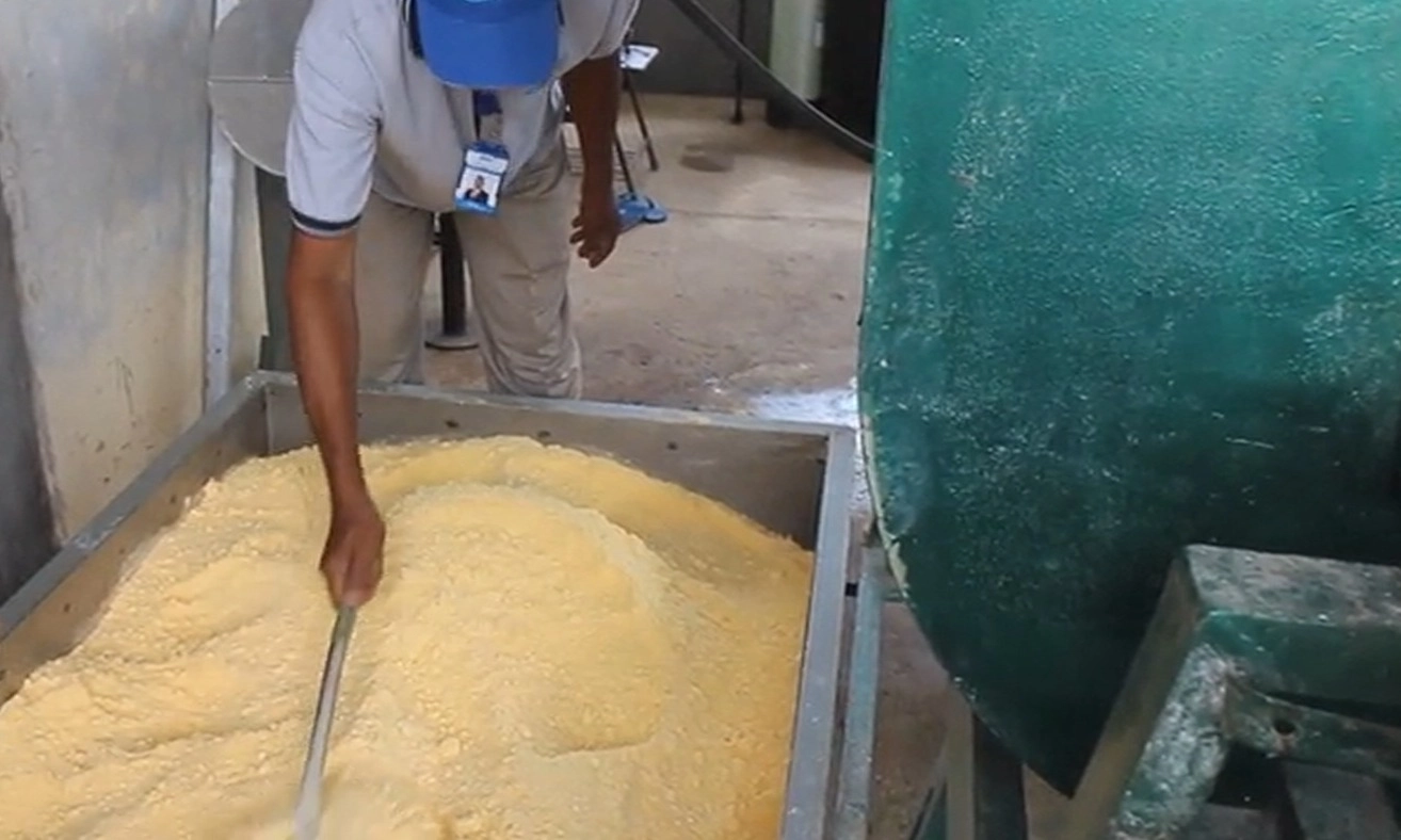 <p id="isPasted">Bapanas Sebut Singkong Berpeluang Jadi Beras Bantuan Pangan</p>