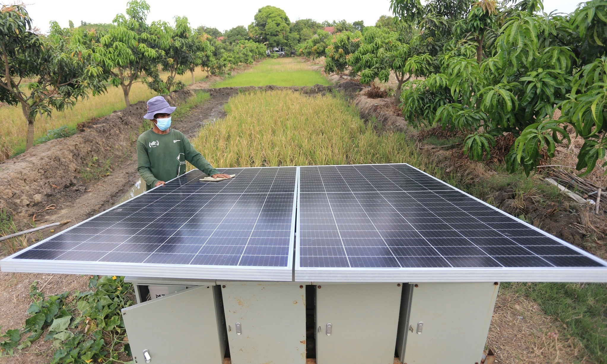 <p id="isPasted">Pemerintah Fokus Kembangkan Ekonomi Hijau Lewat Inpres Percepatan Swasembada</p>