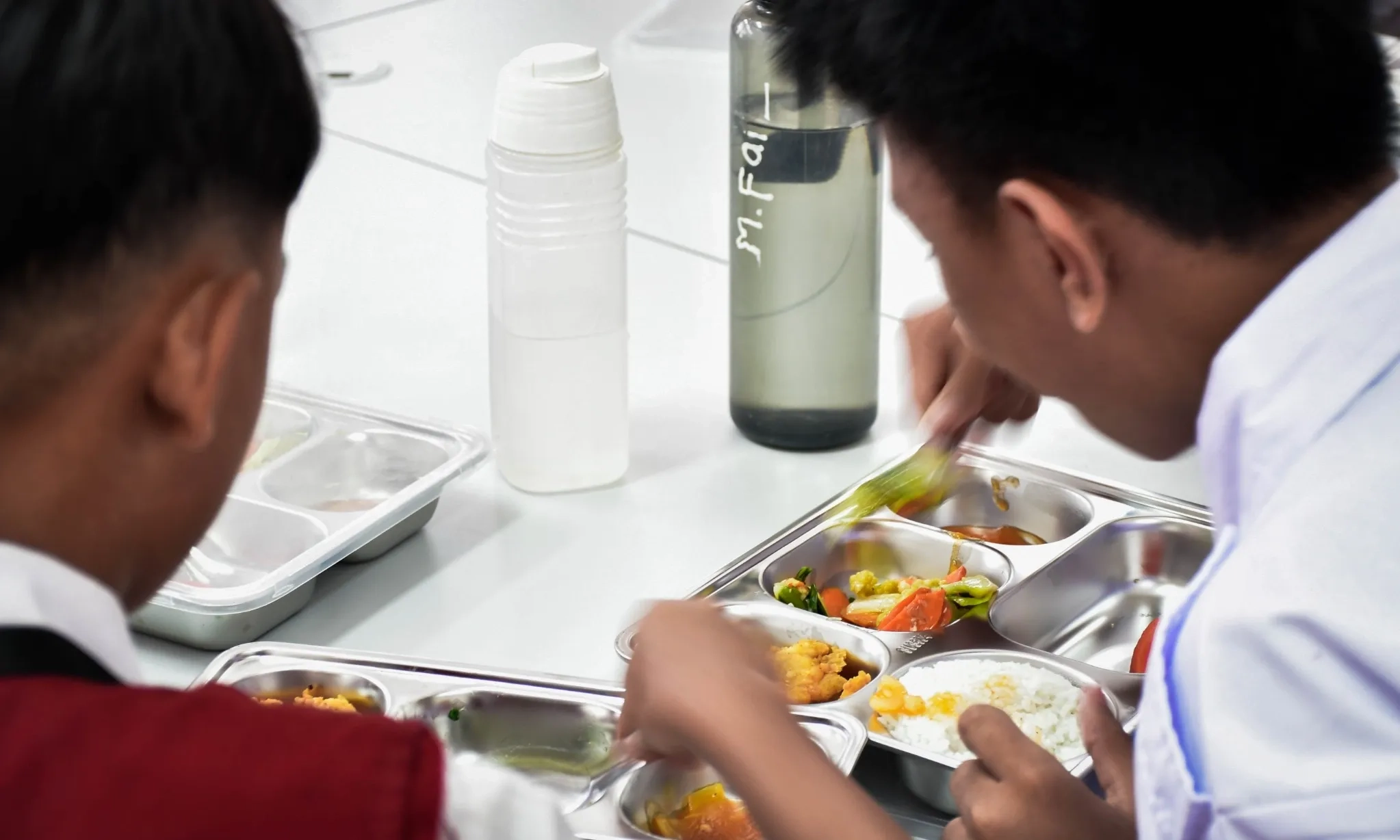 <p id="isPasted">CIPS Minta Program MBG Dihentikan Dan Dievaluasi</p>