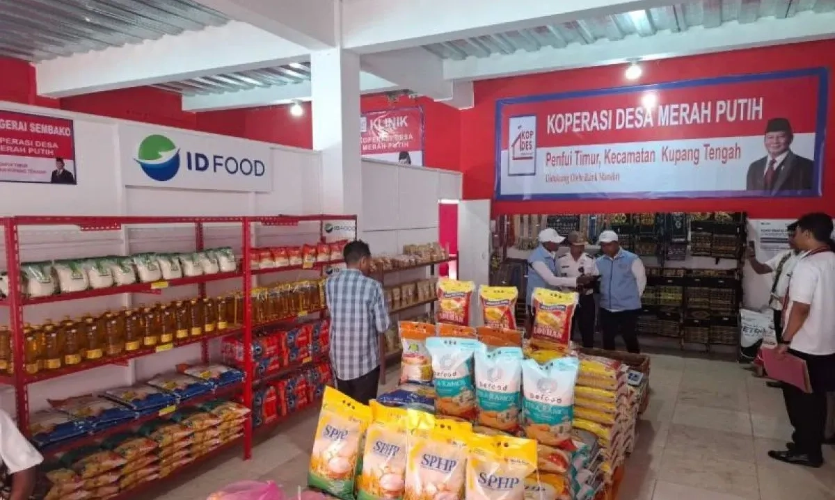 <p>Buat Kopdes Merah Putih, Kemendes PDT Inventarisasi Potensi-Aset Desa</p>