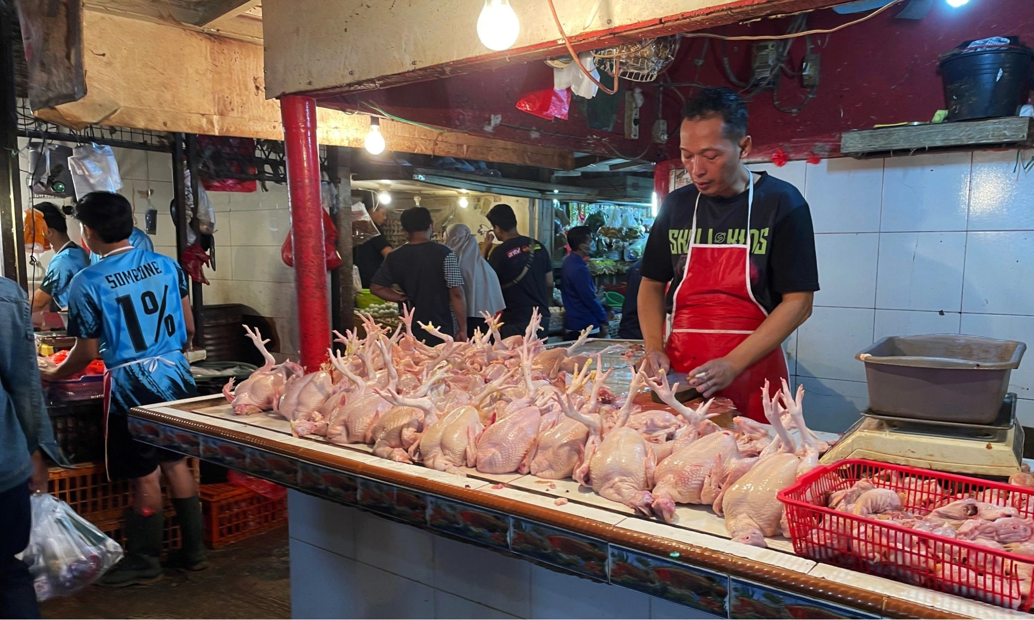 <p id="isPasted">BPS: Penurunan Produksi Jagung Picu Kenaikan Harga Daging dan Telur Ayam</p>