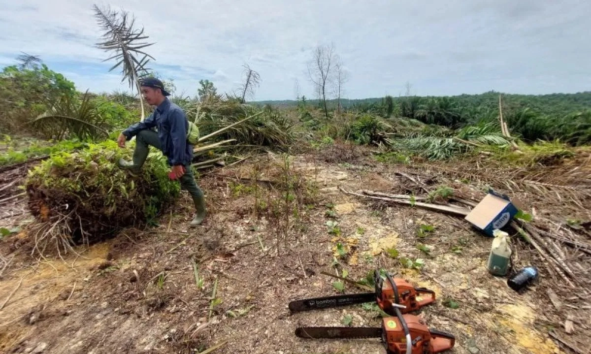 <p>Satgas PKH Percepat Pemulihan Taman Nasional Tesso Nillo</p>
