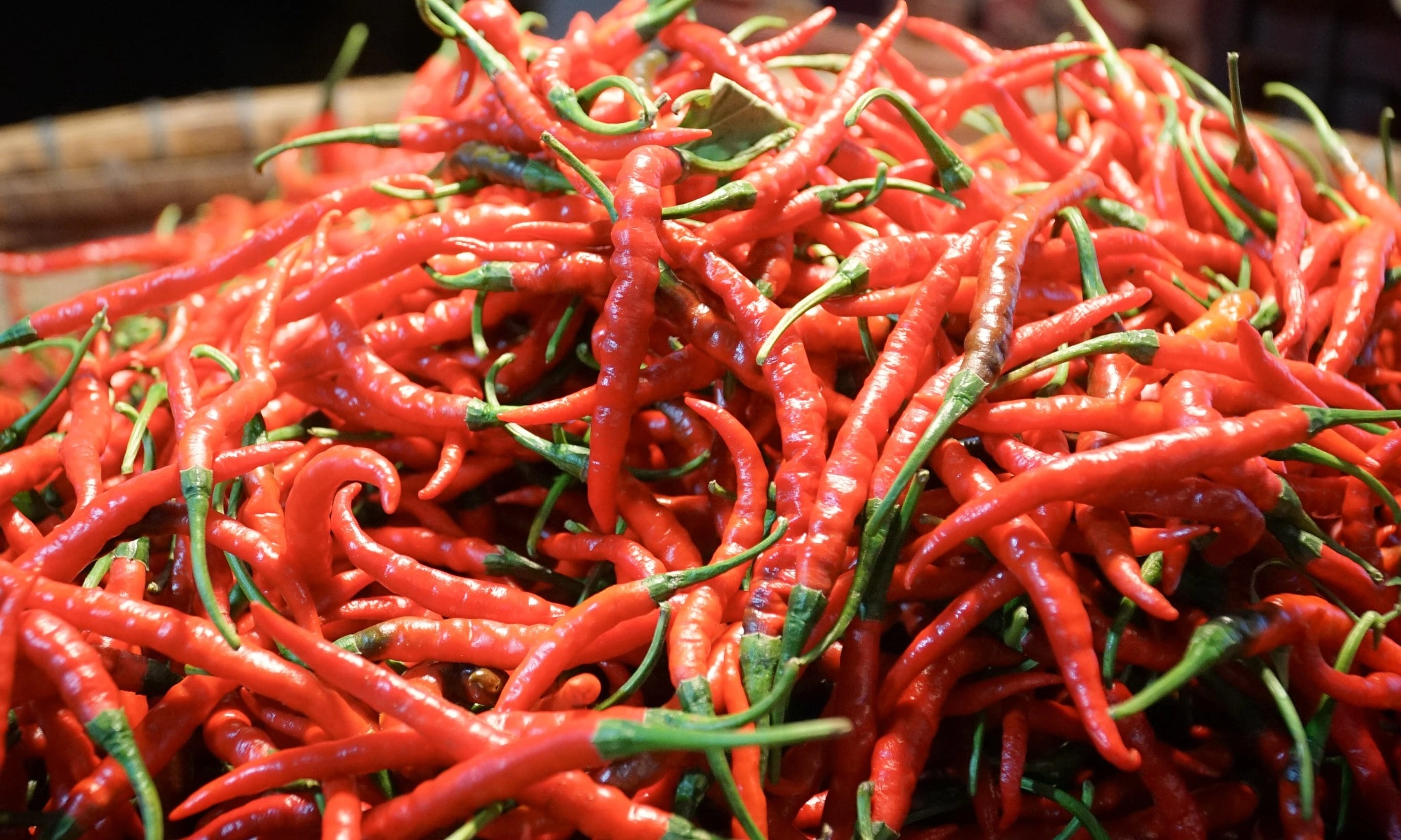 <p id="isPasted">Harga Cabai Makin Pedas, Bapanas Ingatkan Ini</p>