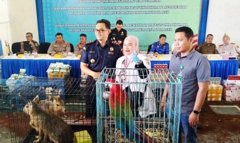 <p>Barang Bukti Penyelundupan Satwa Mati di BKSDA Aceh&nbsp;</p>