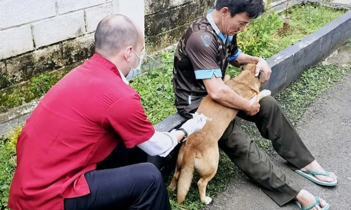 <p>Meski Peliharaan, Hindari Hewan Terinfeksi Rabies</p>