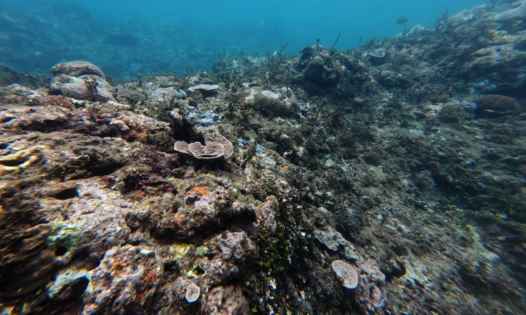 <p>Tambang Nikel Datangkan Kerusakan Berantai di Raja Ampat</p>