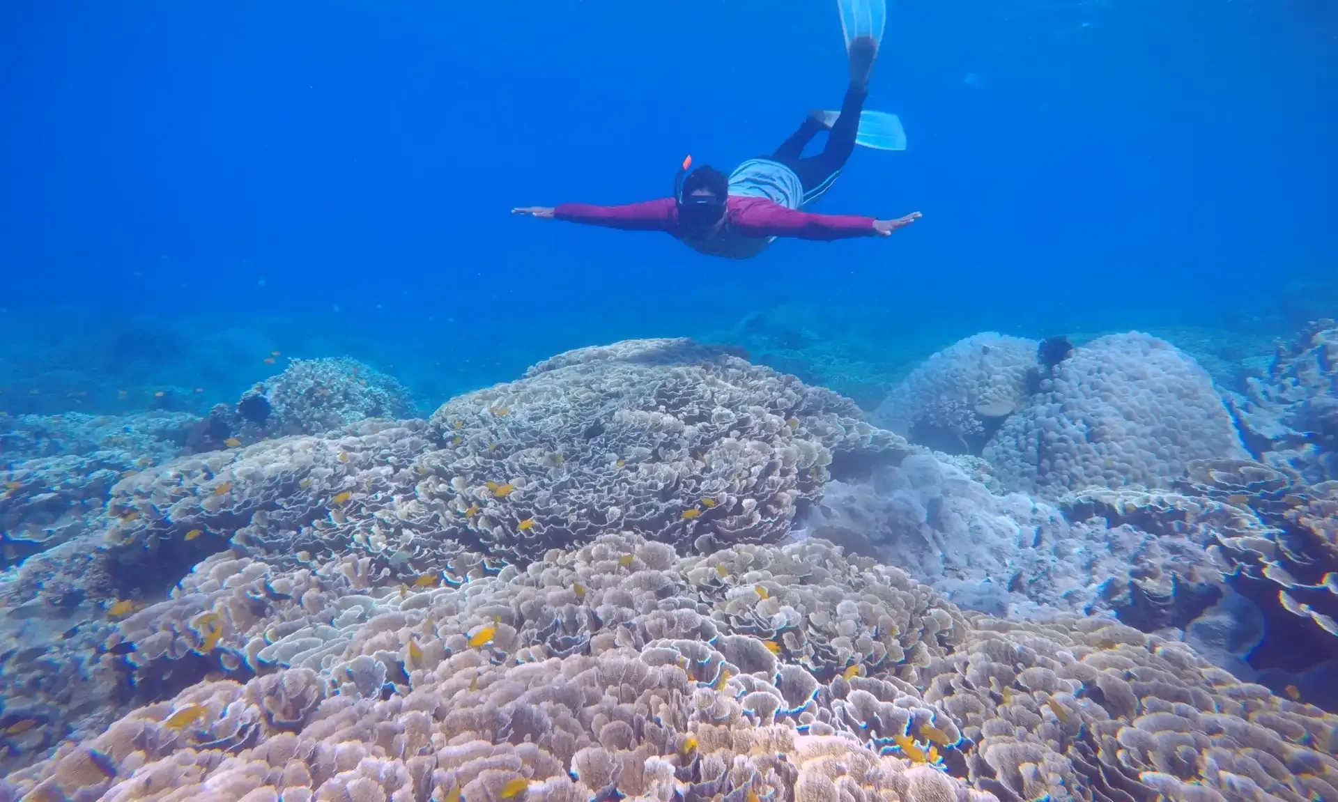 <p id="isPasted">Destinasi <em>Sport Tourism</em> Untuk Liburan Aktif Di Jakarta Hingga Bali</p>