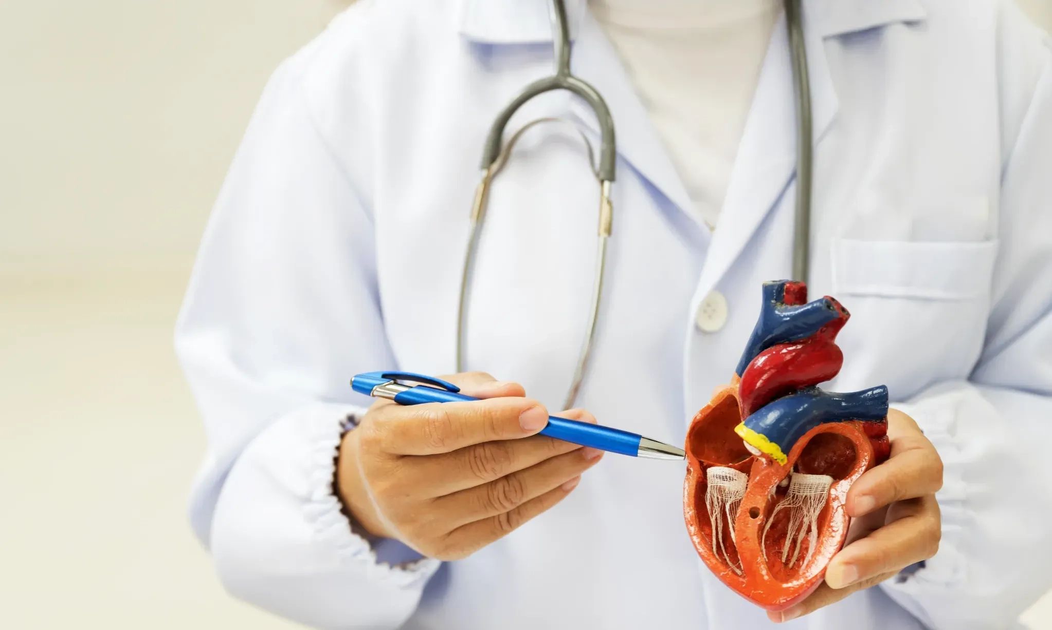 <p id="isPasted">Hari Jantung Sedunia, Mengenal Aritmia Jantung Lebih Dalam</p>